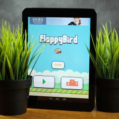 Wideorecenzja gry Flappy Bird