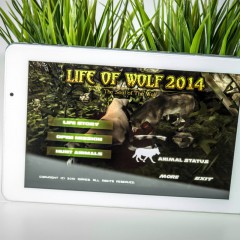 Wideorecenzja gry Life of Wolf 2014